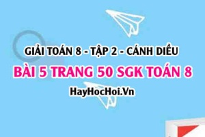 Bài 5 trang 50 Toán 8 Tập 2 Cánh Diều